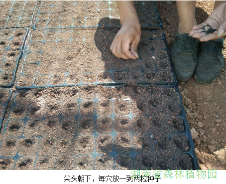 AG旗舰厅(中国游)官方网站