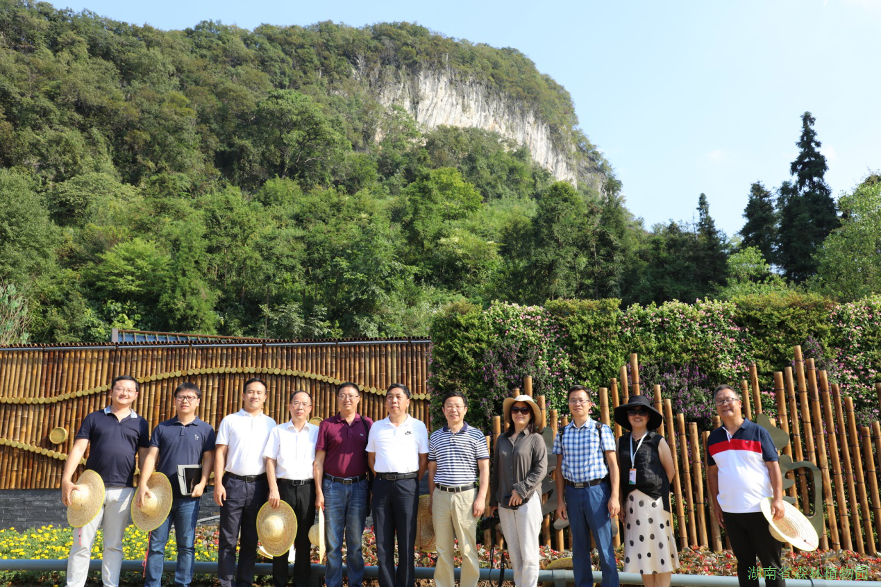 AG旗舰厅(中国游)官方网站
