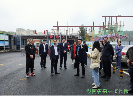 AG旗舰厅(中国游)官方网站