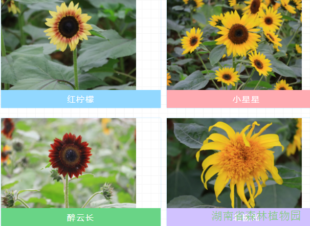 AG旗舰厅(中国游)官方网站