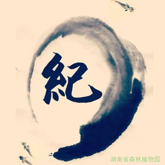 AG旗舰厅(中国游)官方网站
