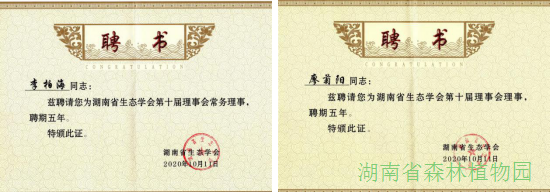 AG旗舰厅(中国游)官方网站