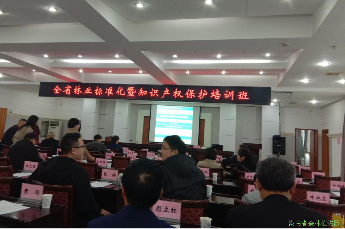 AG旗舰厅(中国游)官方网站