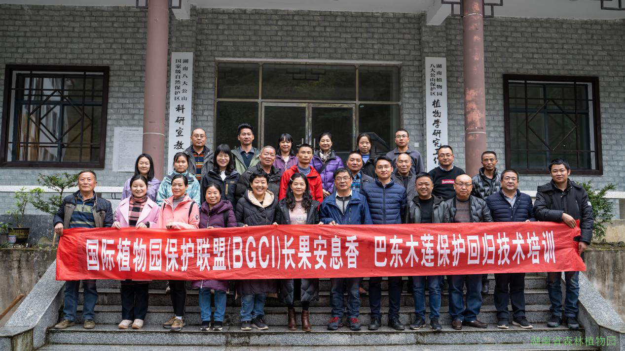 AG旗舰厅(中国游)官方网站