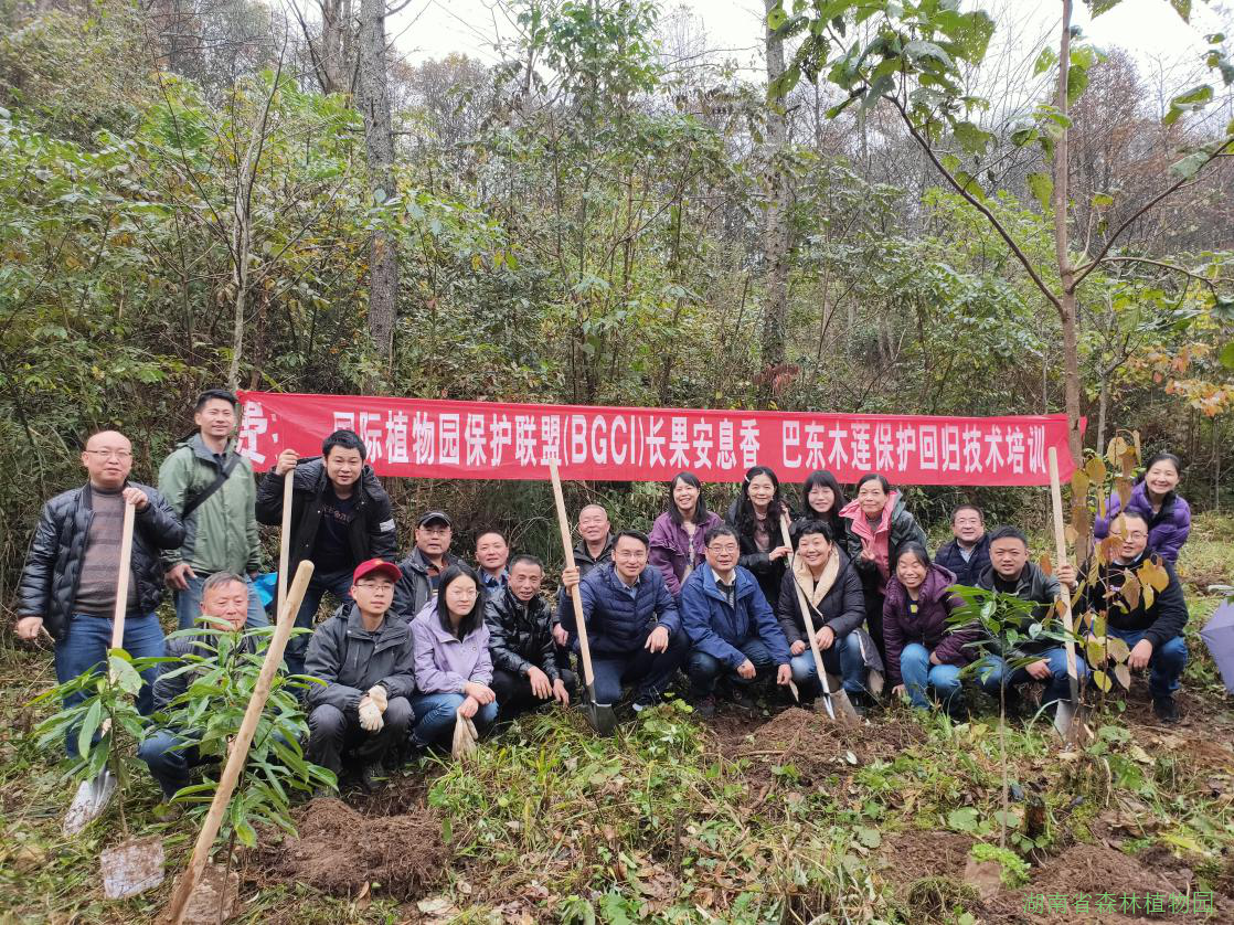 AG旗舰厅(中国游)官方网站