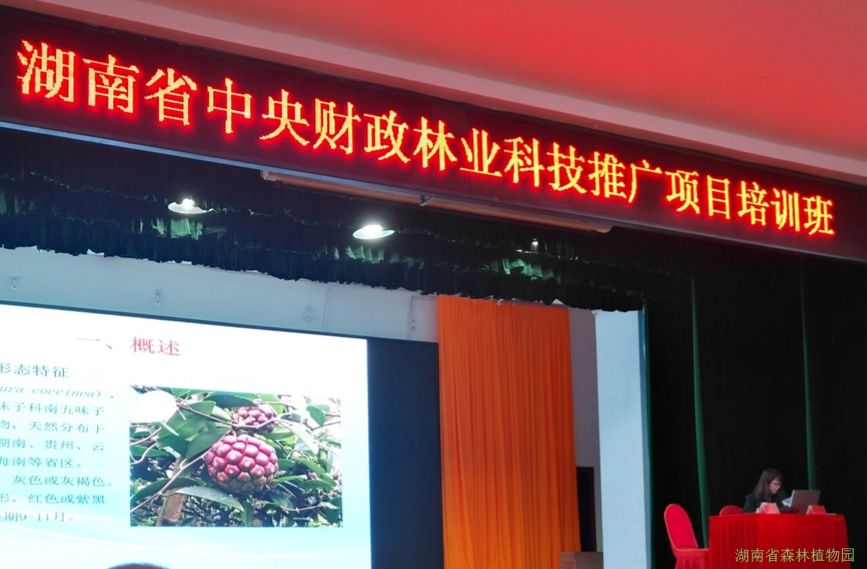 AG旗舰厅(中国游)官方网站