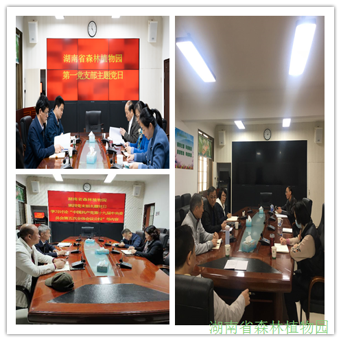 AG旗舰厅(中国游)官方网站