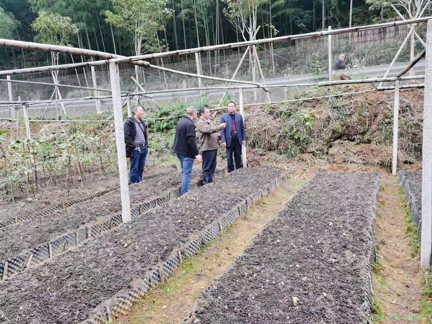 AG旗舰厅(中国游)官方网站