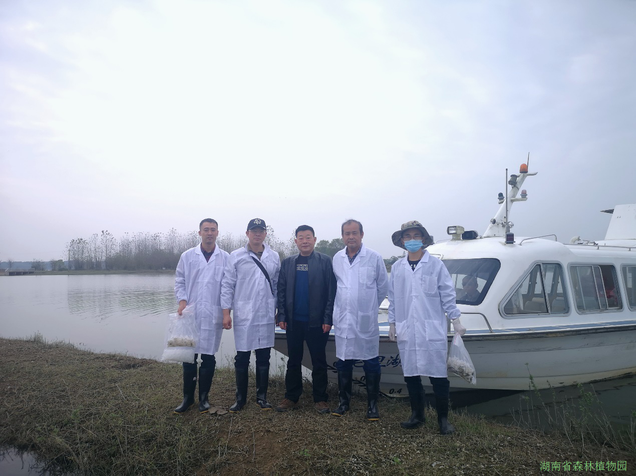 AG旗舰厅(中国游)官方网站