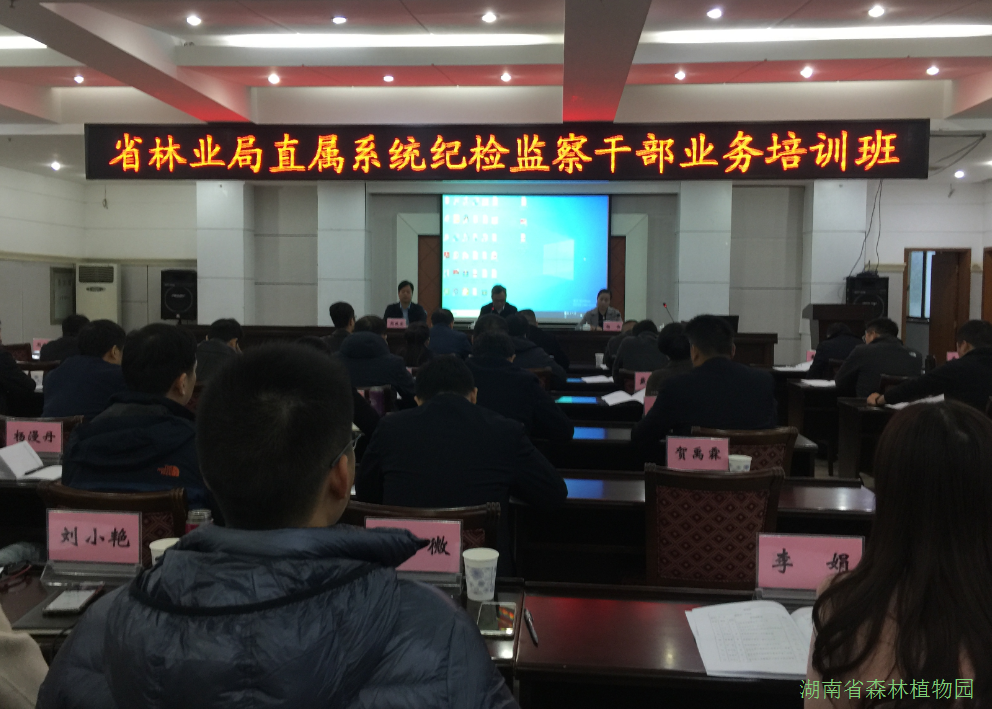 AG旗舰厅(中国游)官方网站