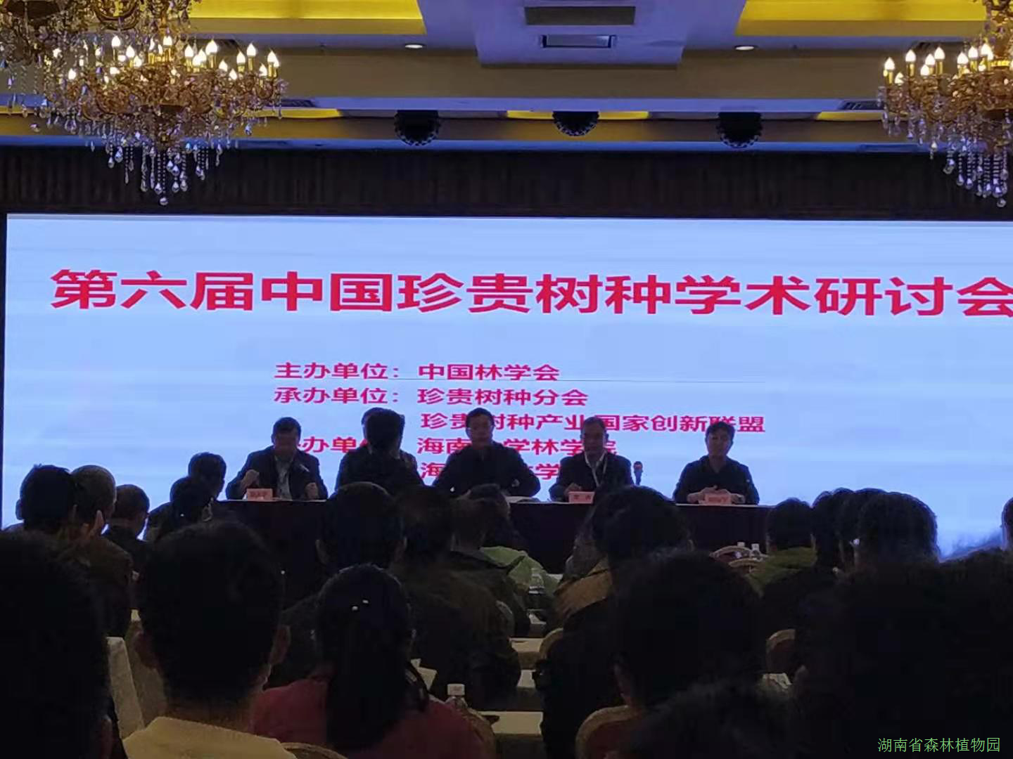 AG旗舰厅(中国游)官方网站