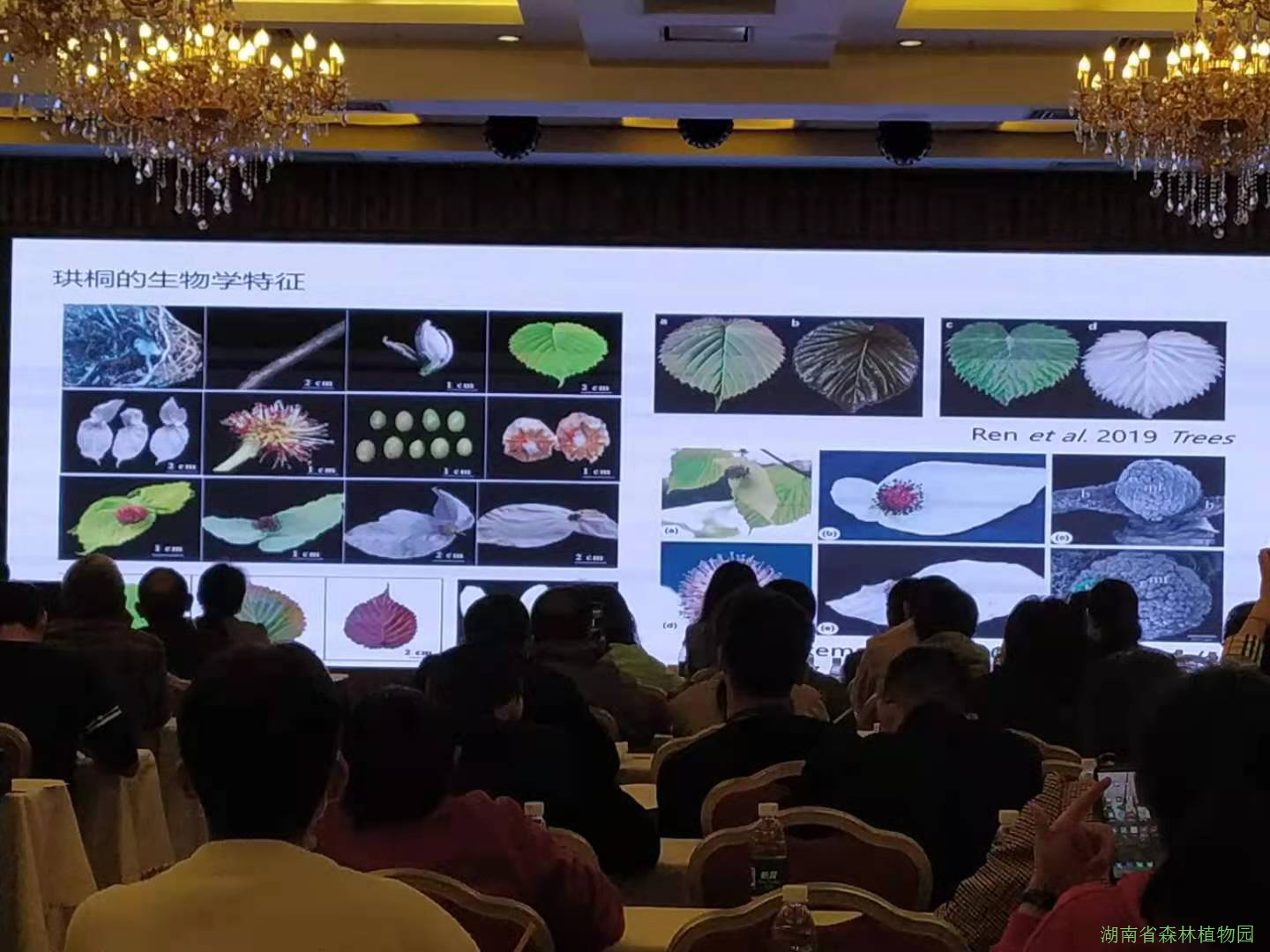 AG旗舰厅(中国游)官方网站
