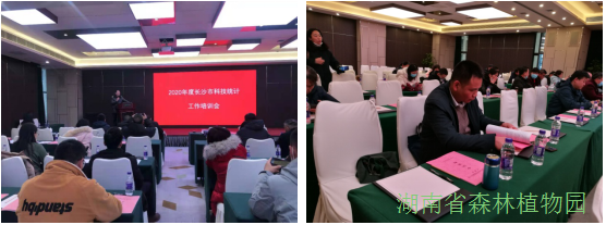 AG旗舰厅(中国游)官方网站