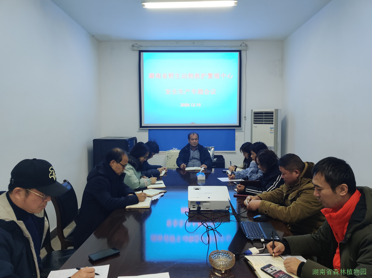 AG旗舰厅(中国游)官方网站