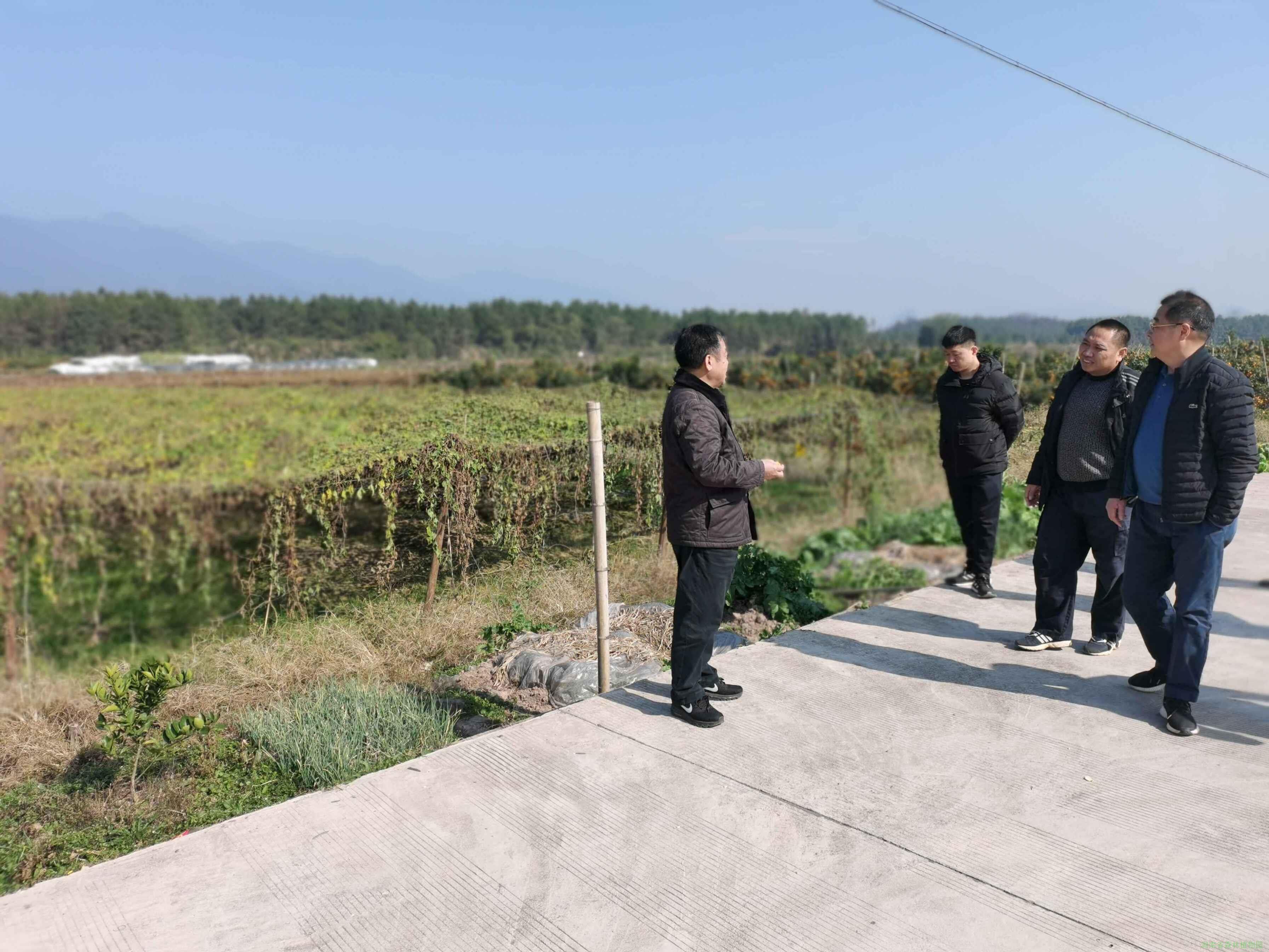 AG旗舰厅(中国游)官方网站