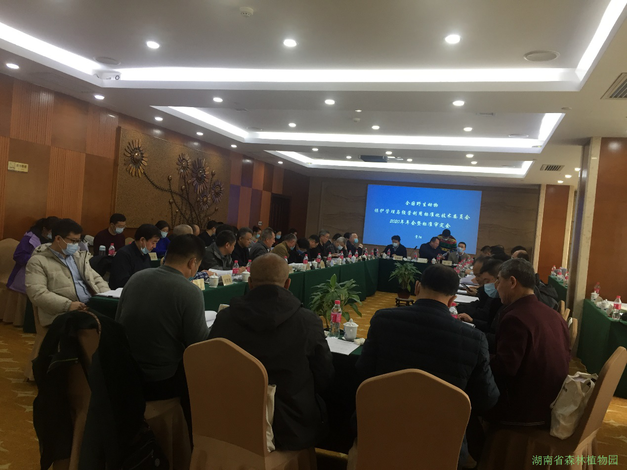 AG旗舰厅(中国游)官方网站