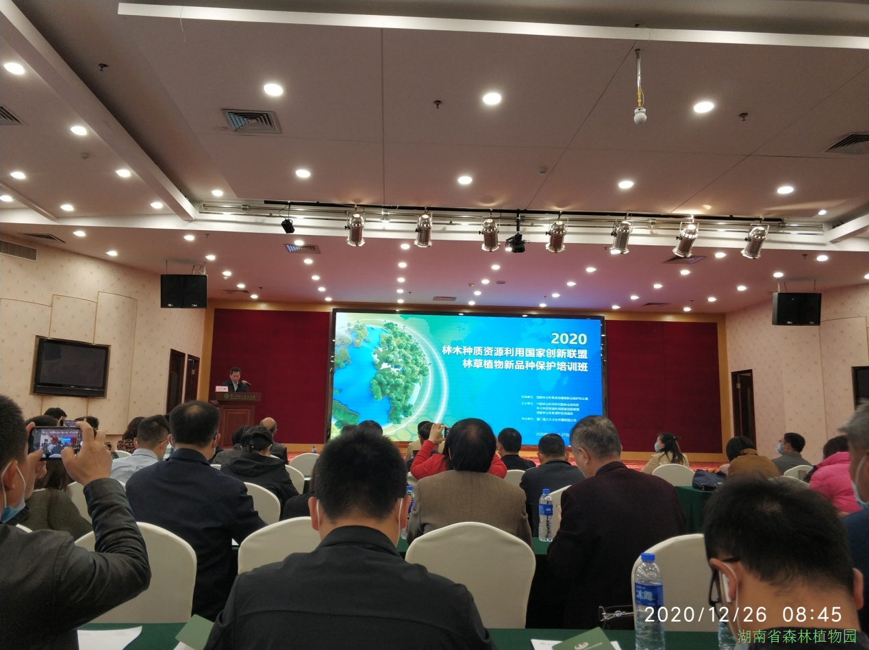 AG旗舰厅(中国游)官方网站