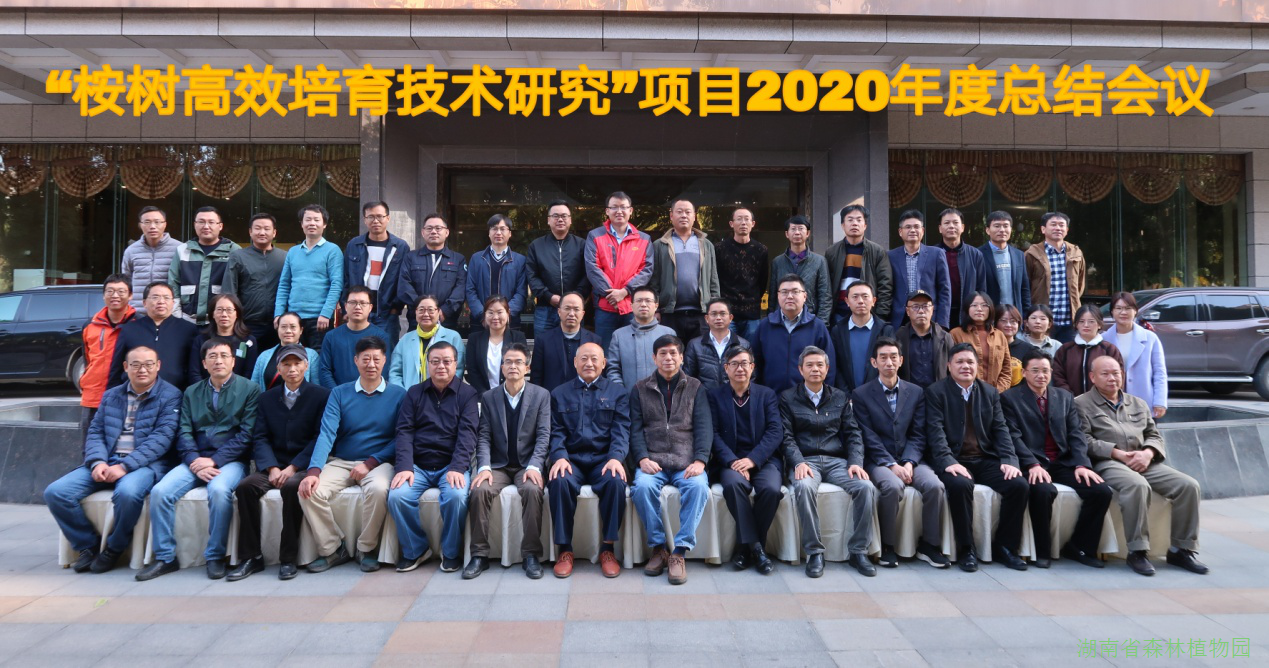 AG旗舰厅(中国游)官方网站