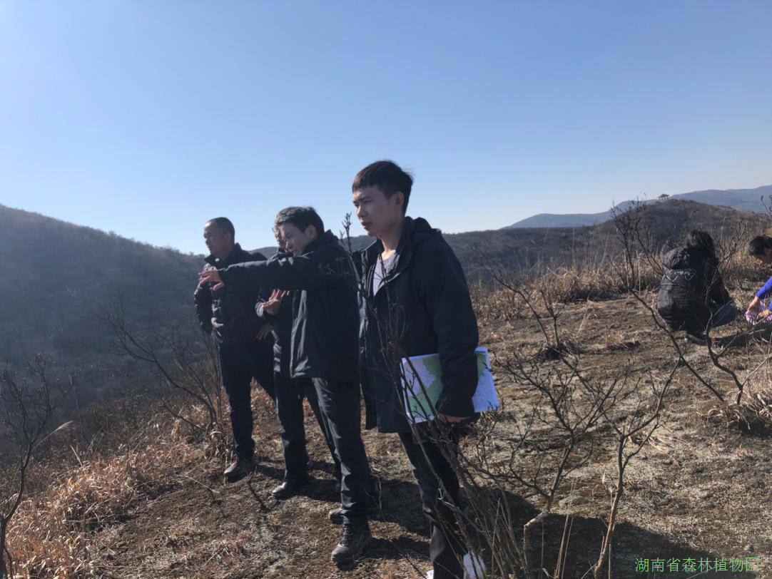 AG旗舰厅(中国游)官方网站
