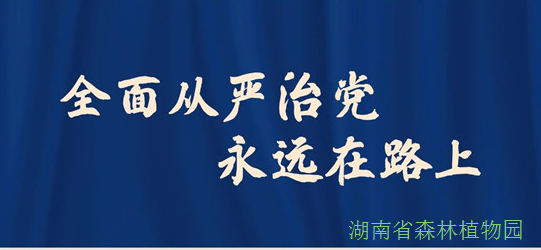 AG旗舰厅(中国游)官方网站