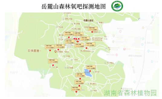 AG旗舰厅(中国游)官方网站