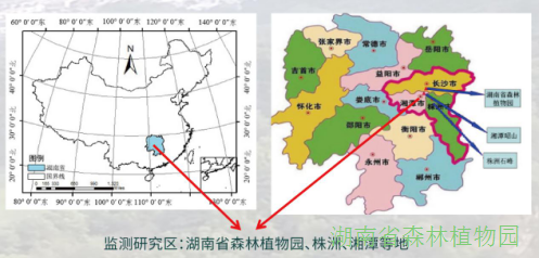 AG旗舰厅(中国游)官方网站