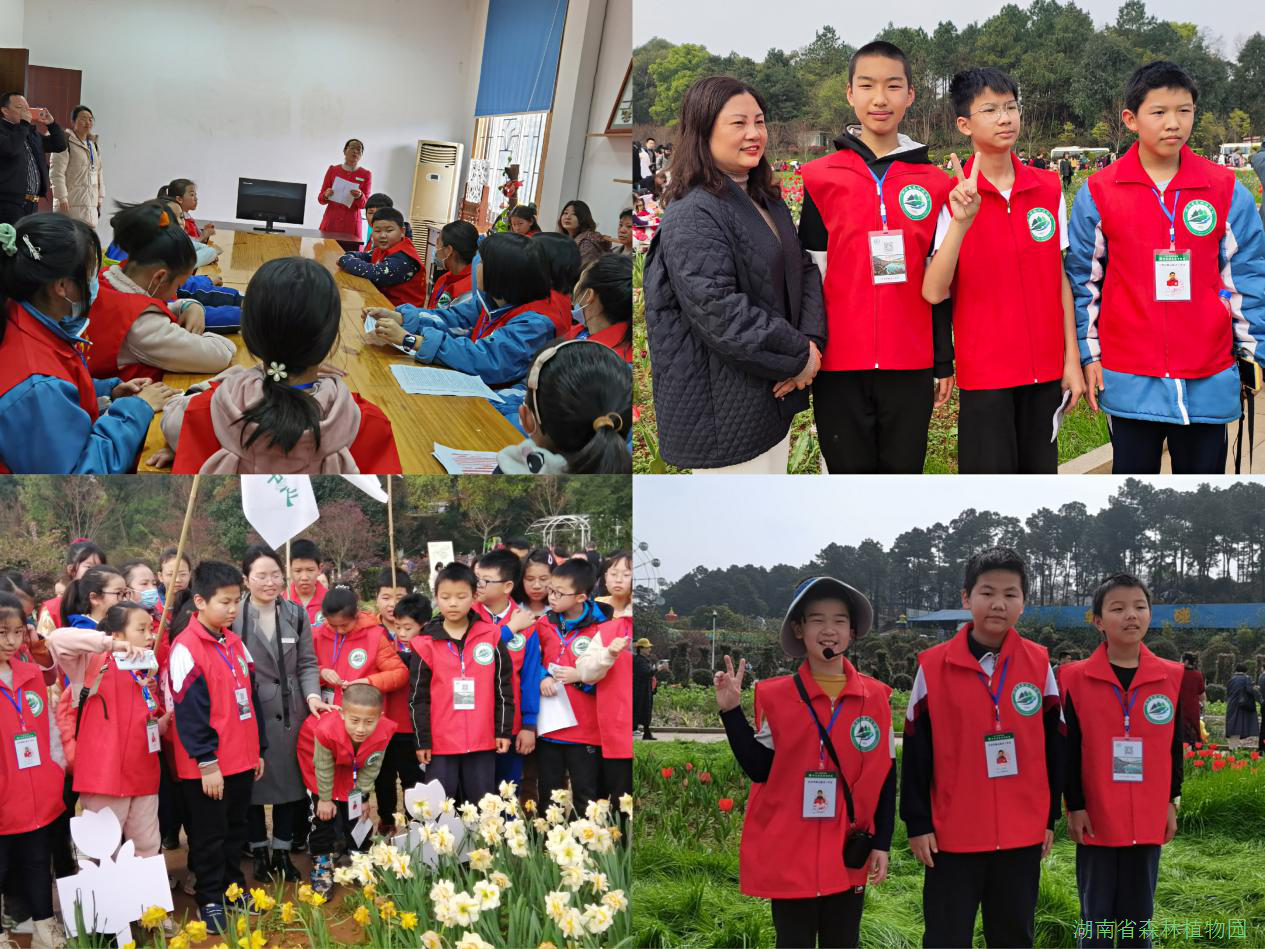 AG旗舰厅(中国游)官方网站