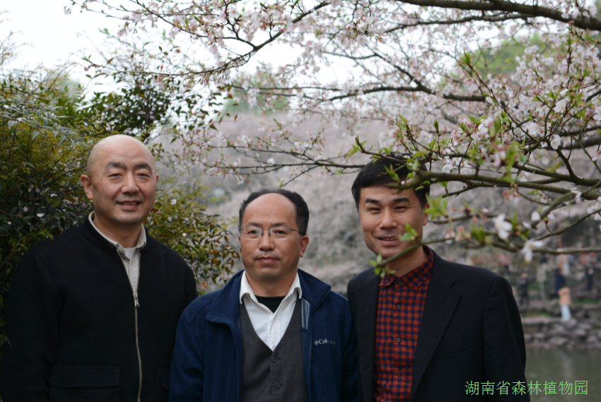 AG旗舰厅(中国游)官方网站