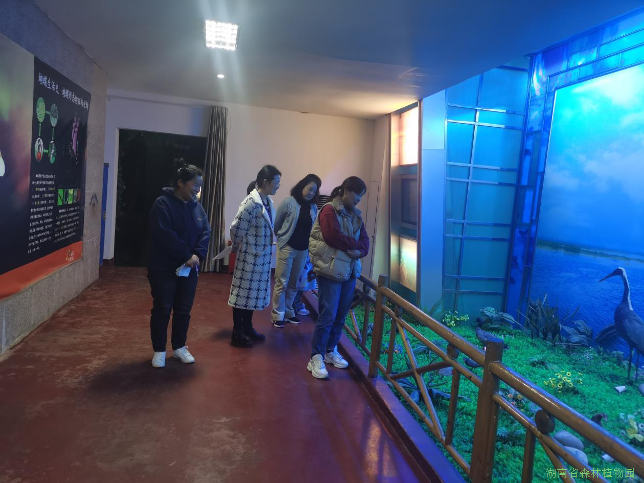 AG旗舰厅(中国游)官方网站