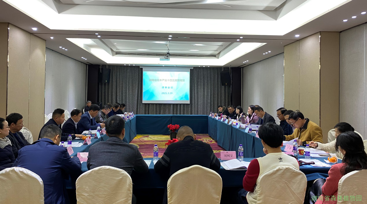 AG旗舰厅(中国游)官方网站