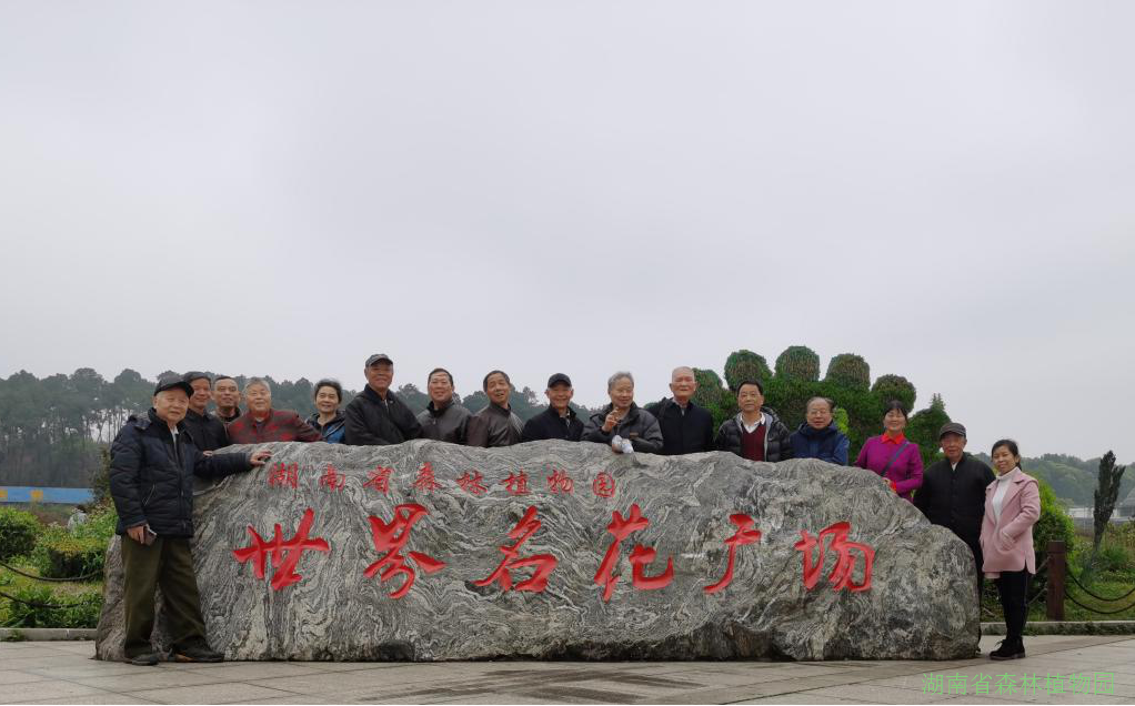 AG旗舰厅(中国游)官方网站