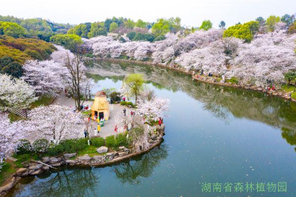 AG旗舰厅(中国游)官方网站