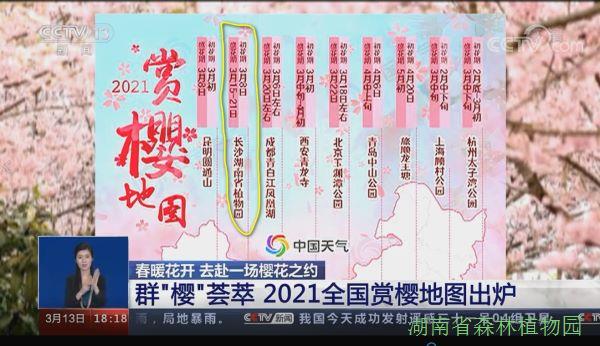AG旗舰厅(中国游)官方网站