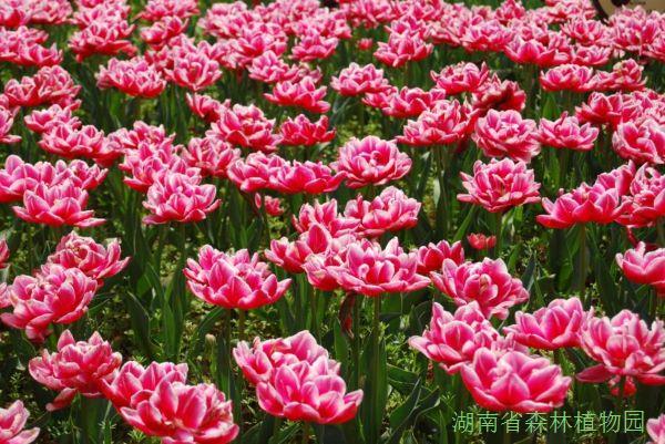 AG旗舰厅(中国游)官方网站