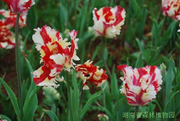 AG旗舰厅(中国游)官方网站