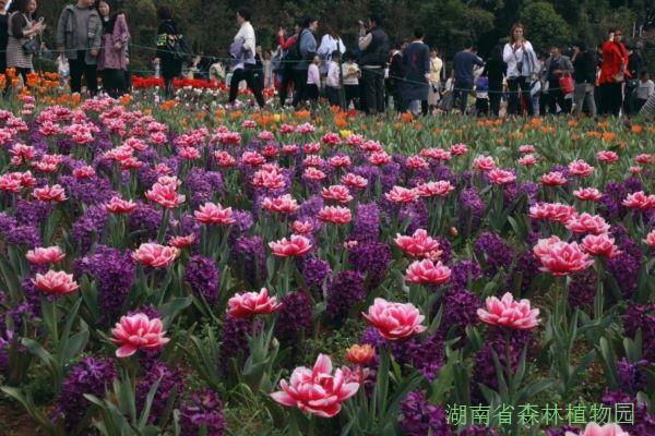 AG旗舰厅(中国游)官方网站
