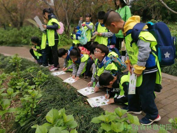 AG旗舰厅(中国游)官方网站