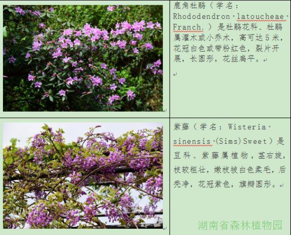 AG旗舰厅(中国游)官方网站