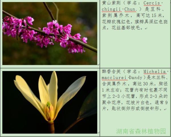 AG旗舰厅(中国游)官方网站