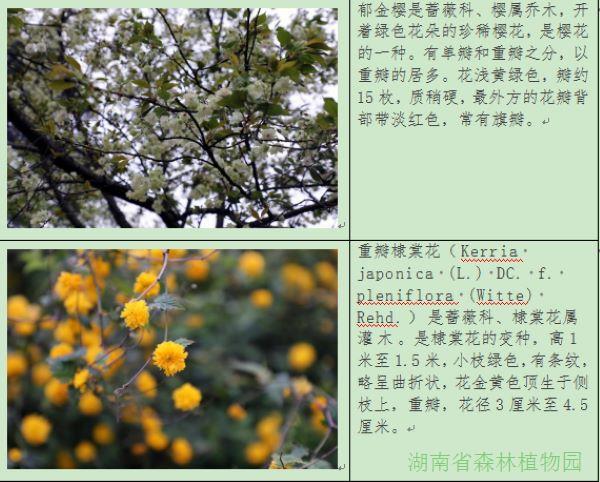 AG旗舰厅(中国游)官方网站