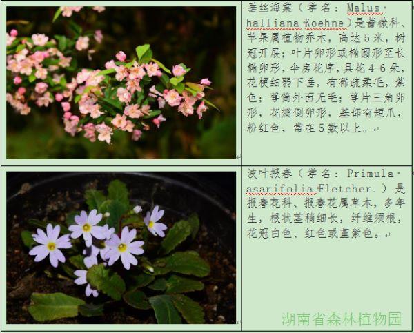 AG旗舰厅(中国游)官方网站