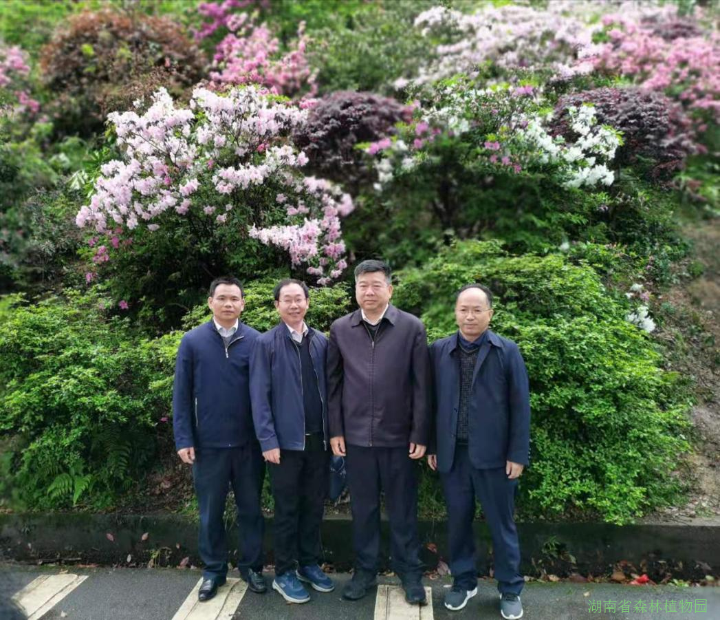 AG旗舰厅(中国游)官方网站
