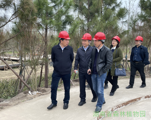 AG旗舰厅(中国游)官方网站