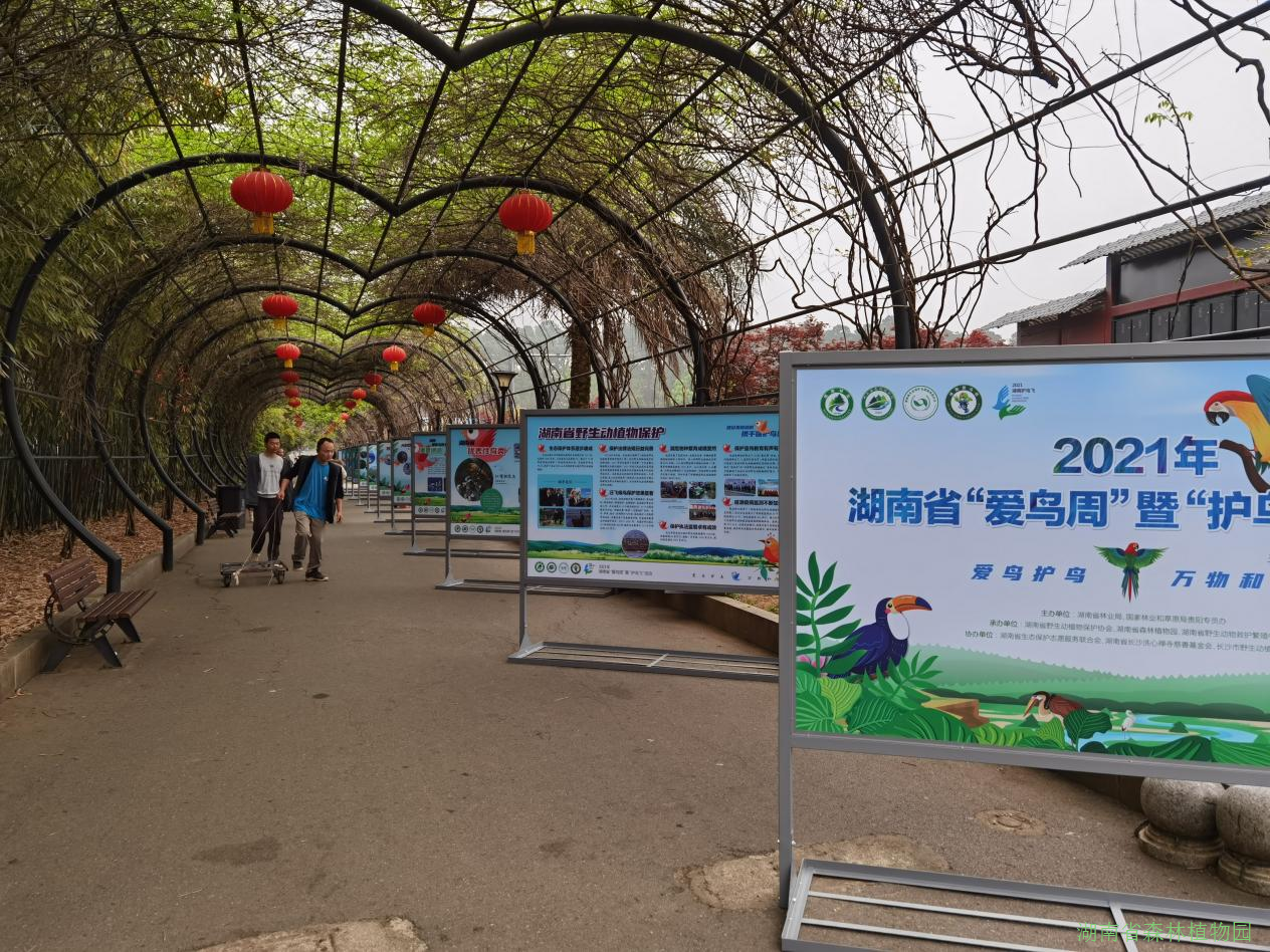 AG旗舰厅(中国游)官方网站