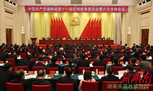 AG旗舰厅(中国游)官方网站