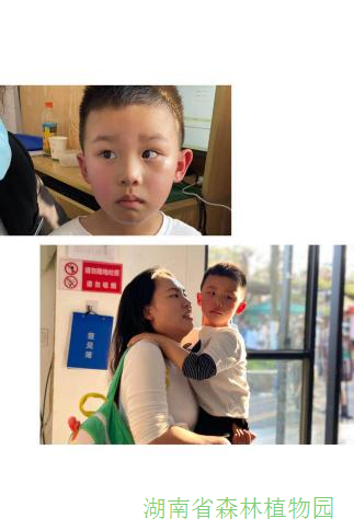 AG旗舰厅(中国游)官方网站