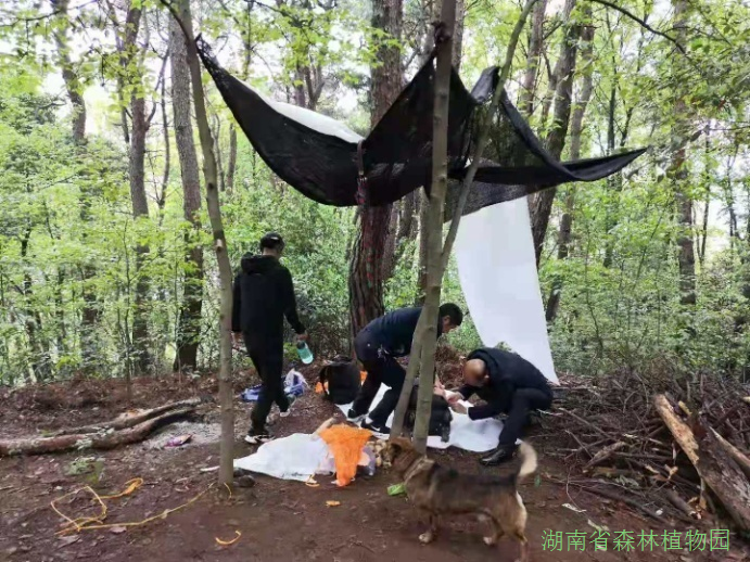 AG旗舰厅(中国游)官方网站
