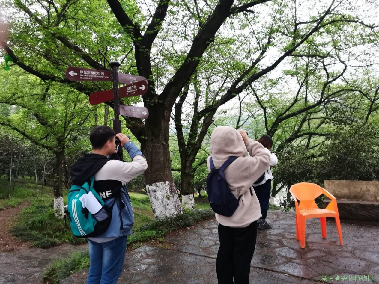 AG旗舰厅(中国游)官方网站
