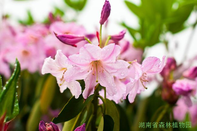 AG旗舰厅(中国游)官方网站