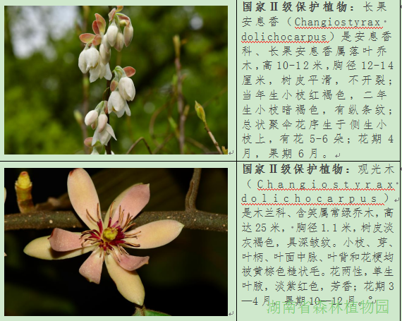 AG旗舰厅(中国游)官方网站
